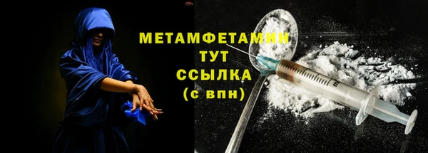 прущие грибы Лабытнанги