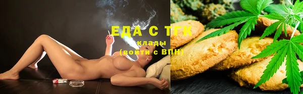 прущие грибы Лабытнанги