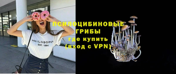 скорость Лагань