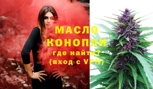 прущие грибы Лабытнанги