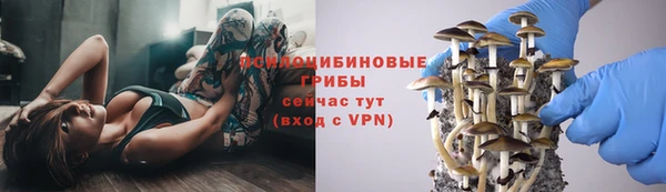 спайс Горняк
