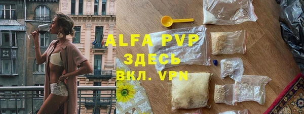 прущие грибы Лабытнанги
