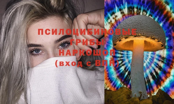 мескалин Ладушкин