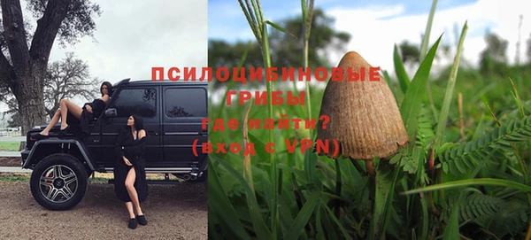 скорость Лагань