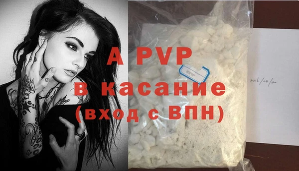 прущие грибы Лабытнанги