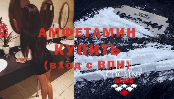 прущие грибы Лабытнанги